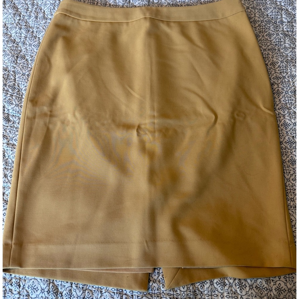 The Limited Skirt